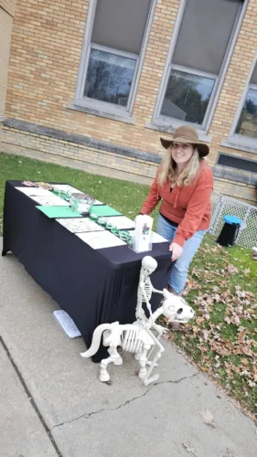 Healing with Horses: Commitment of volunteer keeps Stride rolling